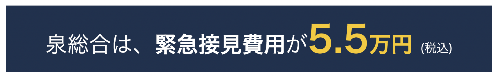 緊急接見費用